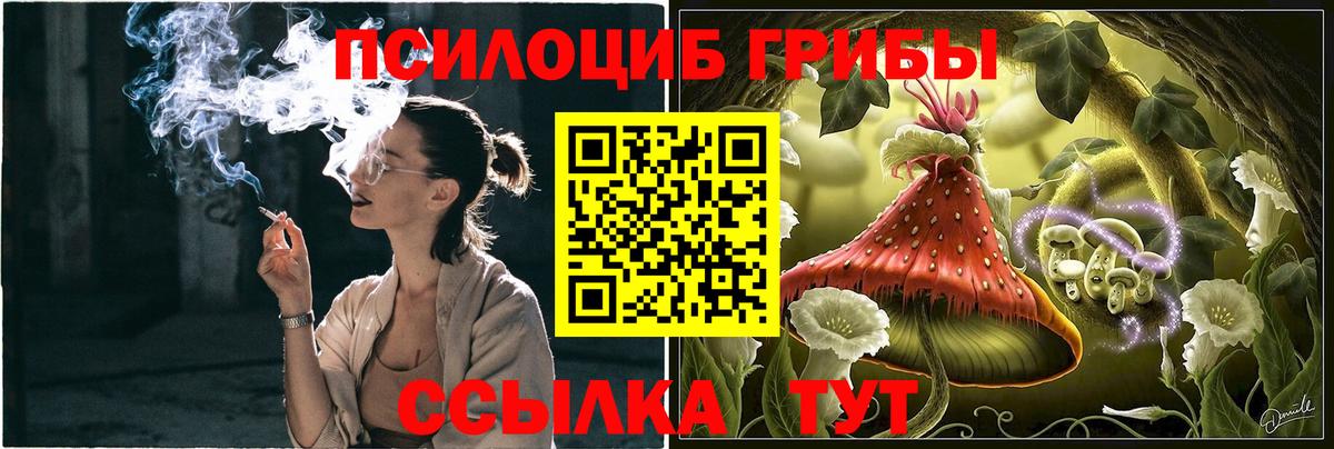 Дербент  Галлюциногенные грибы Cubensis  Вход с VPN 