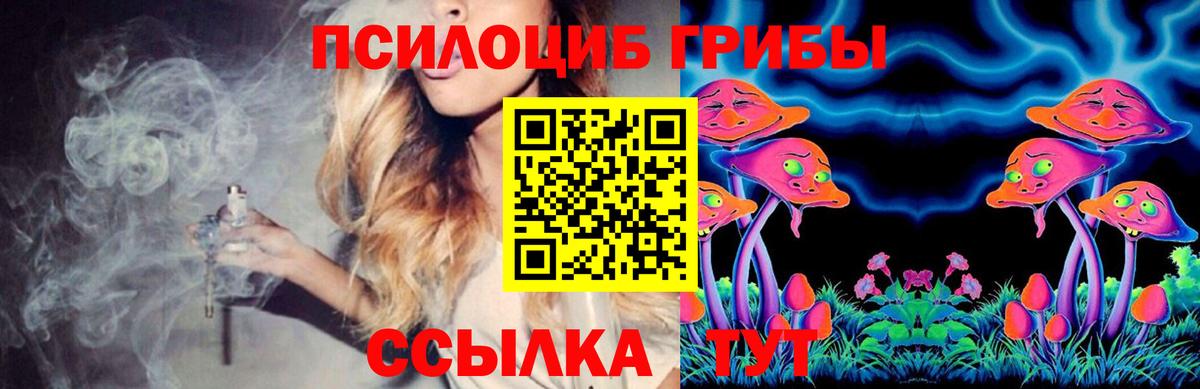 Псилоцибиновые грибы Psilocybe Дербент